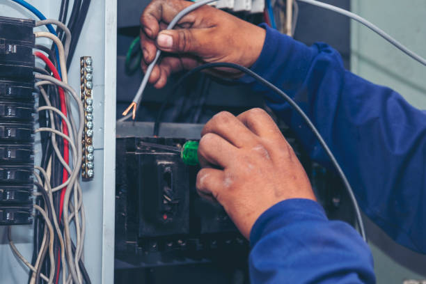 Best Electric Panel Repair  in Dano, CO